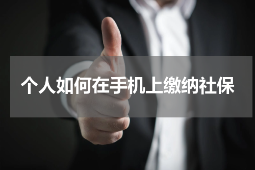 个人如何在手机上缴纳社保