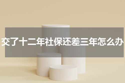 交了十二年社保还差三年怎么办
