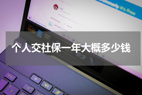 个人交社保一年大概多少钱