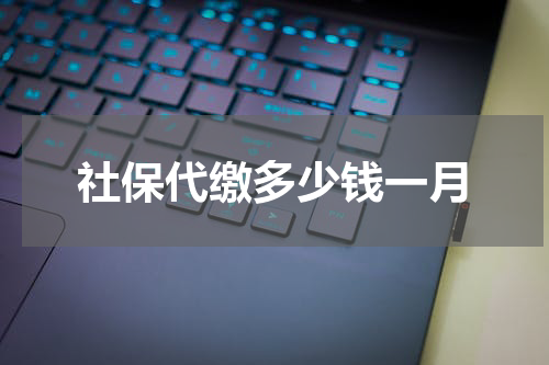 社保代缴多少钱一月