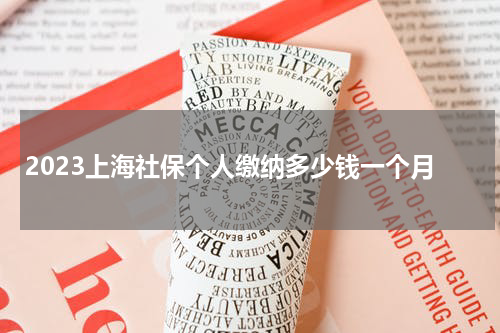 2023上海社保个人缴纳多少钱一个月