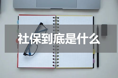 社保到底是什么