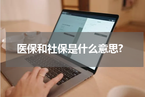 医保和社保是什么意思?