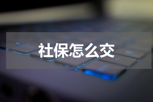 社保怎么交