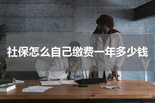 社保怎么自己缴费一年多少钱