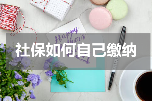 社保如何自己缴纳