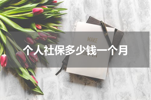 个人社保多少钱一个月