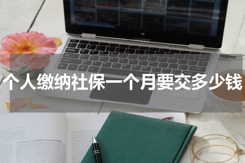 个人缴纳社保一个月要交多少钱