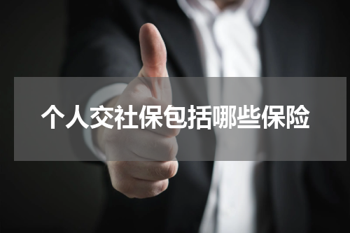 个人交社保包括哪些保险