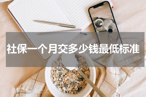 社保一个月交多少钱最低标准