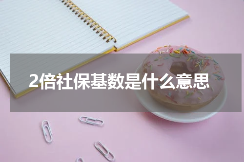 2倍社保基数是什么意思