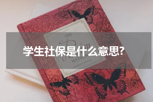 学生社保是什么意思?