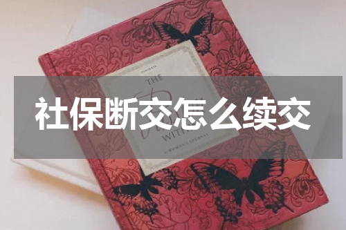 社保断交怎么续交