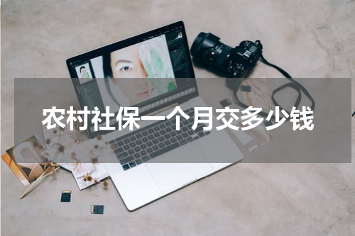 农村社保一个月交多少钱