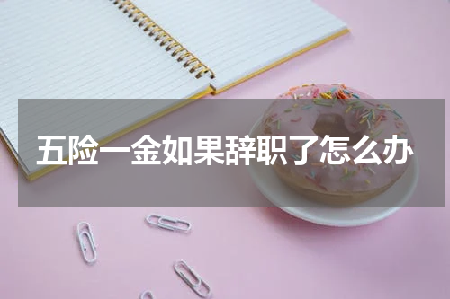 五险一金如果辞职了怎么办