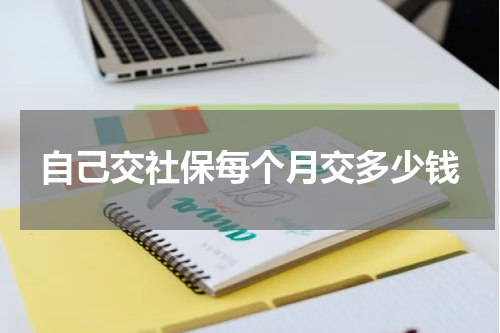 自己交社保每个月交多少钱