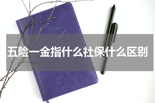 五险一金指什么社保什么区别