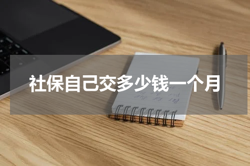 社保自己交多少钱一个月