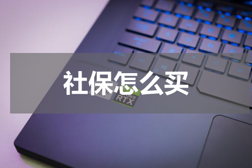 社保怎么买