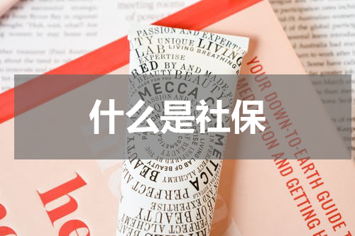 什么是社保