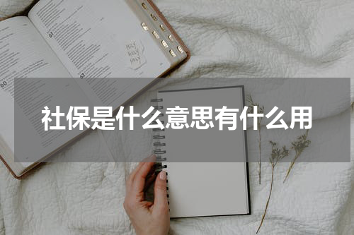 社保是什么意思有什么用