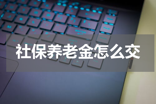 社保养老金怎么交