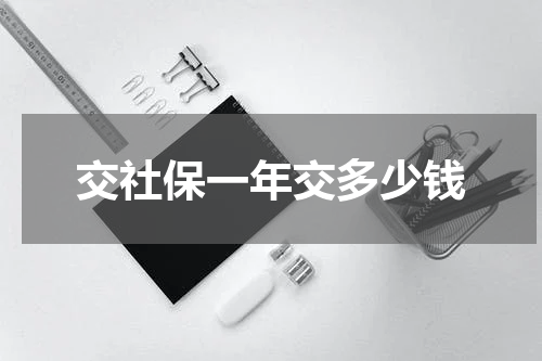 交社保一年交多少钱