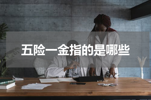 五险一金指的是哪些