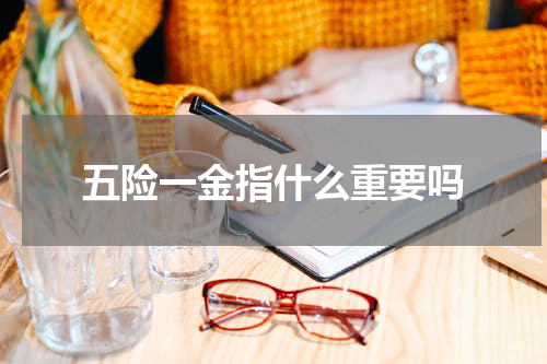 五险一金指什么重要吗