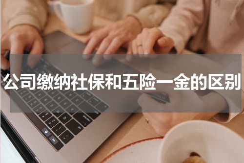公司缴纳社保和五险一金的区别