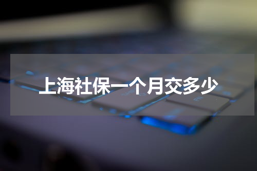 上海社保一个月交多少