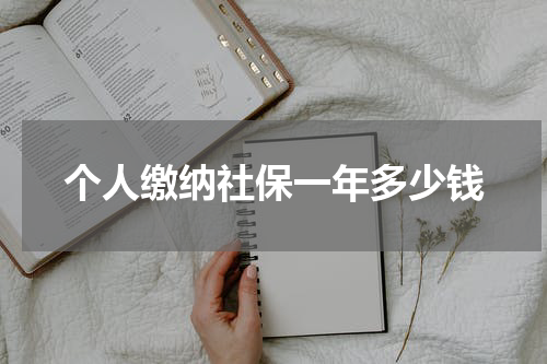 个人缴纳社保一年多少钱