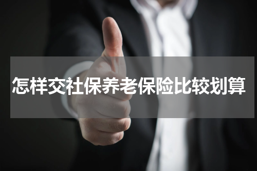 怎样交社保养老保险比较划算
