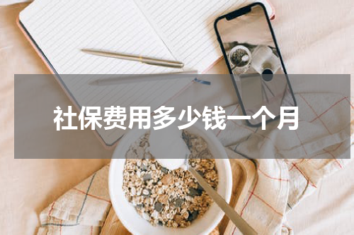 社保费用多少钱一个月
