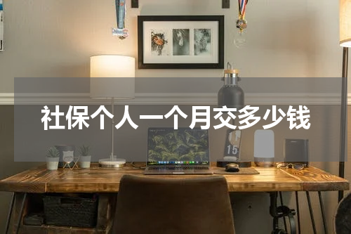 社保个人一个月交多少钱