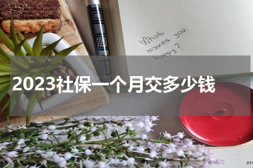 2023社保一个月交多少钱
