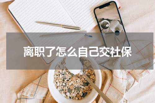 离职了怎么自己交社保
