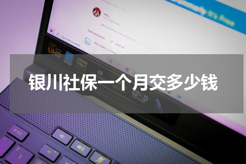 银川社保一个月交多少钱
