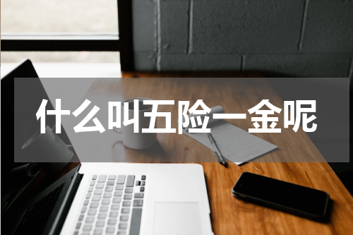什么叫五险一金呢