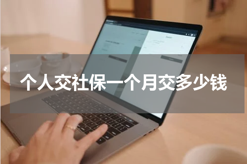 个人交社保一个月交多少钱