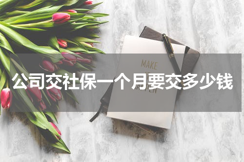 公司交社保一个月要交多少钱