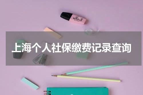 上海个人社保缴费记录查询