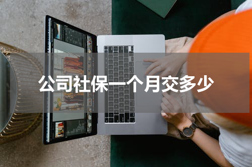 公司社保一个月交多少