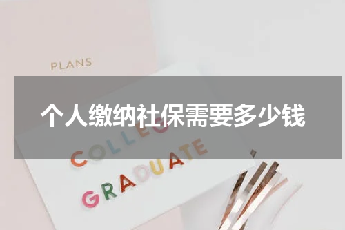 个人缴纳社保需要多少钱