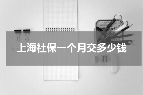 上海社保一个月交多少钱