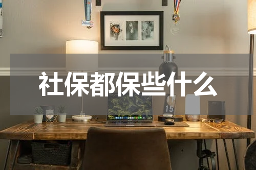 社保都保些什么