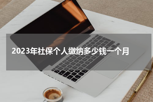 2023年社保个人缴纳多少钱一个月
