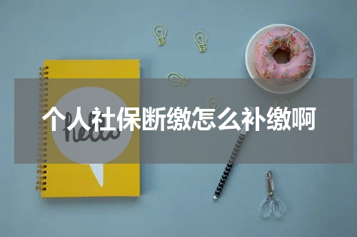 个人社保断缴怎么补缴啊