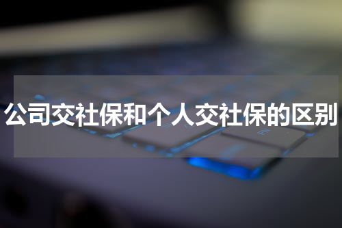 公司交社保和个人交社保的区别