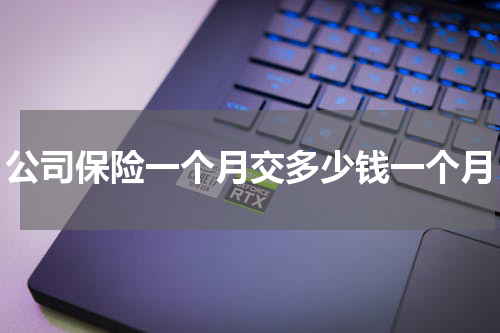 公司保险一个月交多少钱一个月